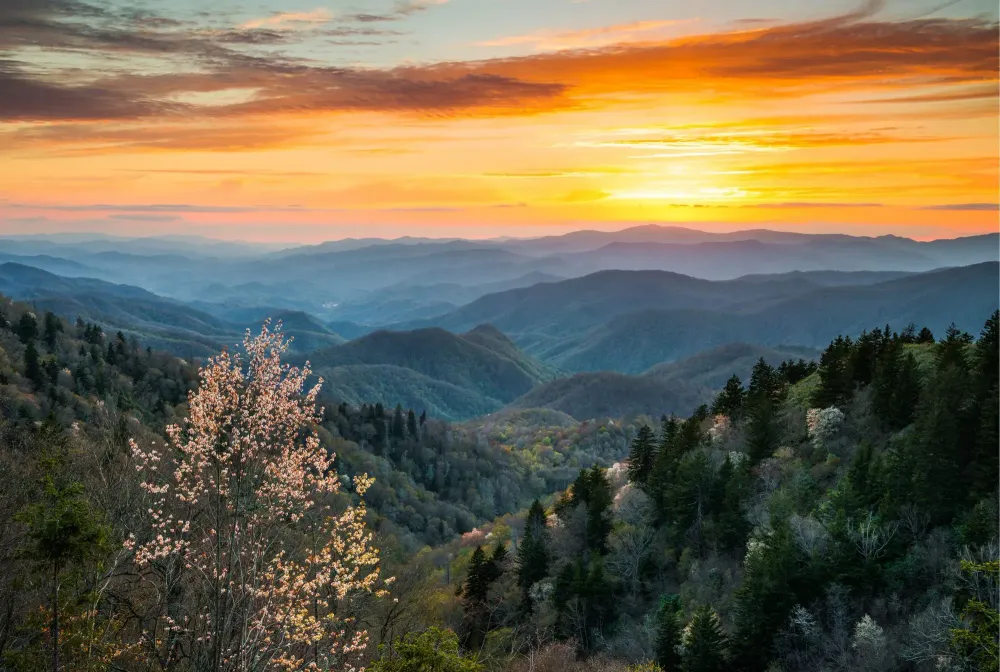 Cherokee Things to Do – Attractions & Must See